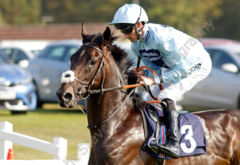 Divot-0002 
 DIVOT (Daniel Tudhope)
Yarmouth 18 Sep 2024 - Pic Steven Cargill / Racingfotos.com