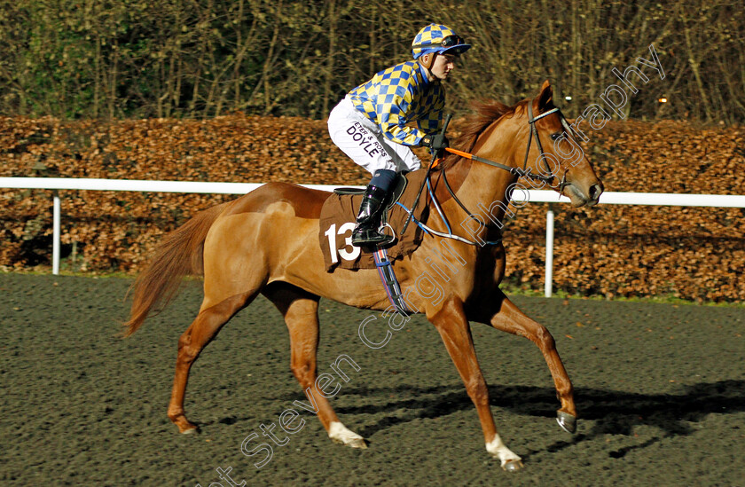 Crazie-Maisie-0001 
 CRAZIE MAISIE (Hollie Doyle) Kempton 20 Dec 2017 - Pic Steven Cargill / Racingfotos.com