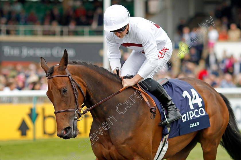 Zellie 
 ZELLIE (Tom Marquand)
Newmarket 1 May 2022 - Pic Steven Cargill / Racingfotos.com