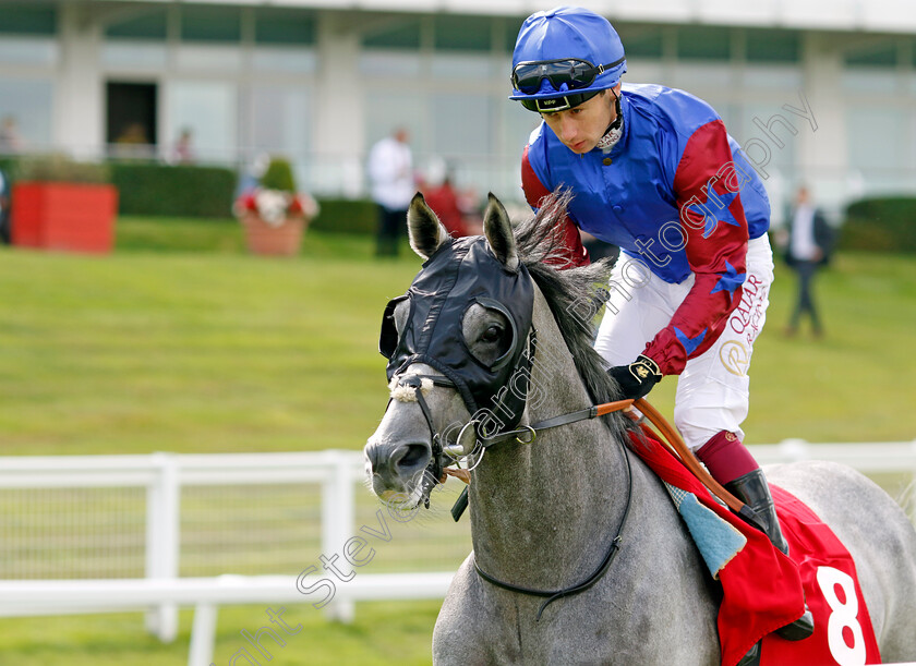 Ernie s-Valentine-0001 
 ERNIE'S VALENTINE (Oisin Murphy)
Sandown 2 Sep 2023 - Pic Steven Cargill / Racingfotos.com