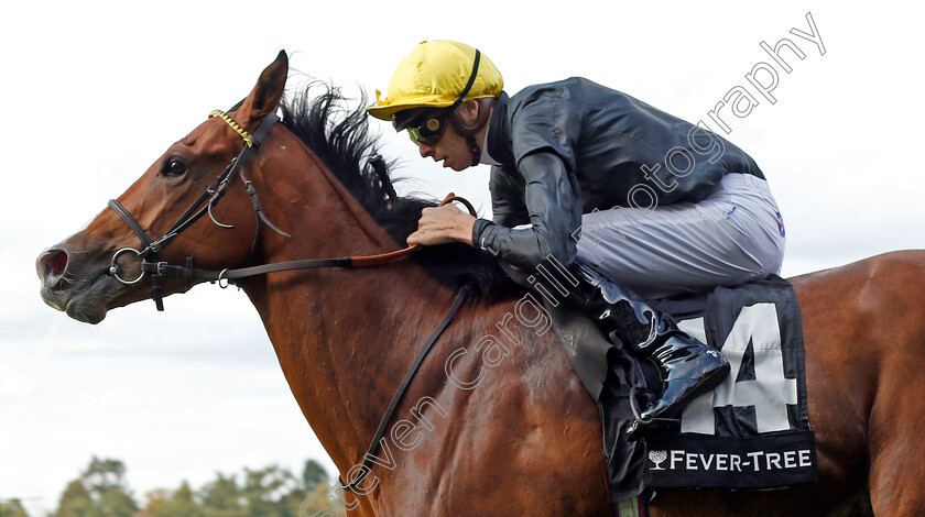 Swindler-0006 
 SWINDLER (Louis Steward) wins The Fever-Tree Handicap
Ascot 7 Sep 2019 - Pic Steven Cargill / Racingfotos.com