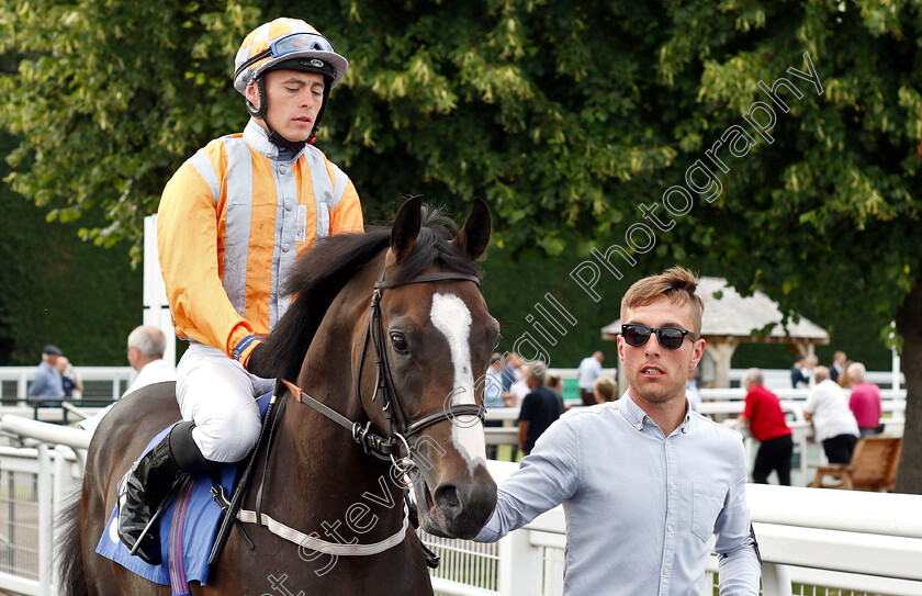 Mr-Duepearl-0001 
 MR DUEPEARL (Seamus Cronin) before The Mansionbet Novice Auction Stakes
Nottingham 16 Jul 2019 - Pic Steven Cargill / Racingfotos.com