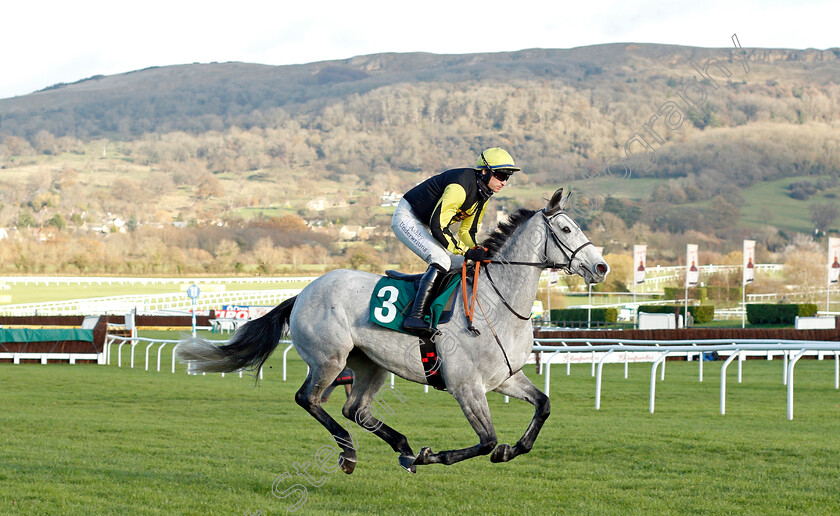 Precious-Eleanor-0001 
 PRECIOUS ELEANOR (Tom O'Brien)
Cheltenham 10 Dec 2021 - Pic Steven Cargill / Racingfotos.com