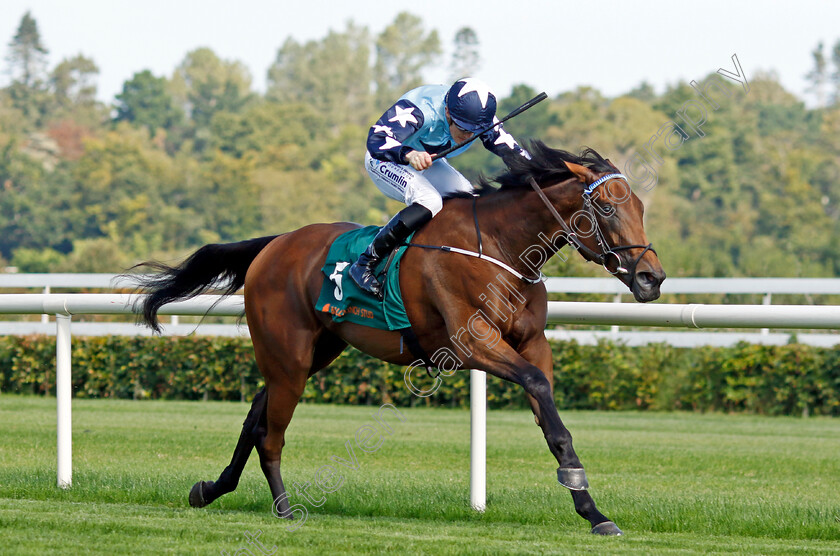 Kitty-Rose-0004 
 KITTY ROSE (Billy Lee) wins The Ballylinch Stud Irish EBF Ingabelle Stakes
Leopardstown 9 Sep 2023 - Pic Steven Cargill / Racingfotos.com