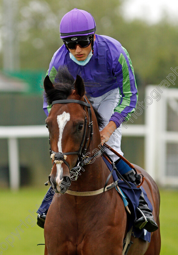 Thatsthefinest-0001 
 THATSTHEFINEST (George Wood)
Yarmouth 1 Jul 2021 - Pic Steven Cargill / Racingfotos.com