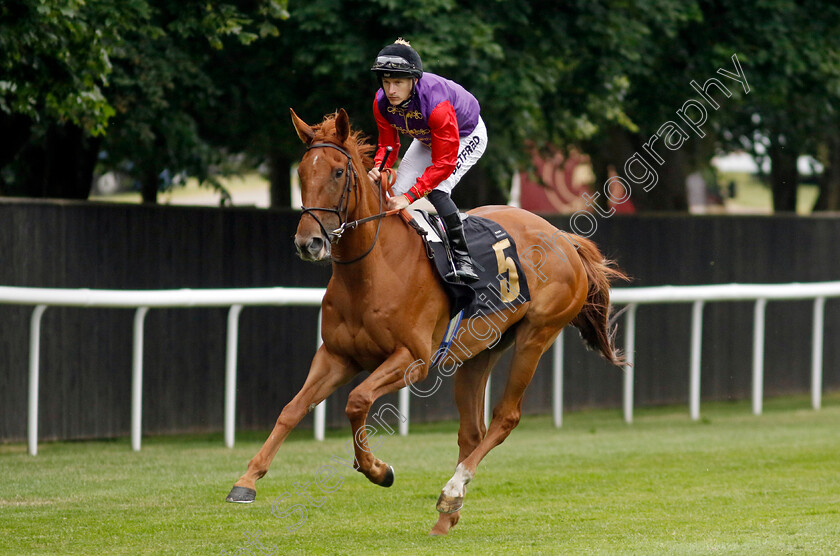 Gentle-Light-0001 
 GENTLE LIGHT (Richard Kingscote)
Newmarket 30 Jun 2023 - Pic Steven Cargill / Racingfotos.com