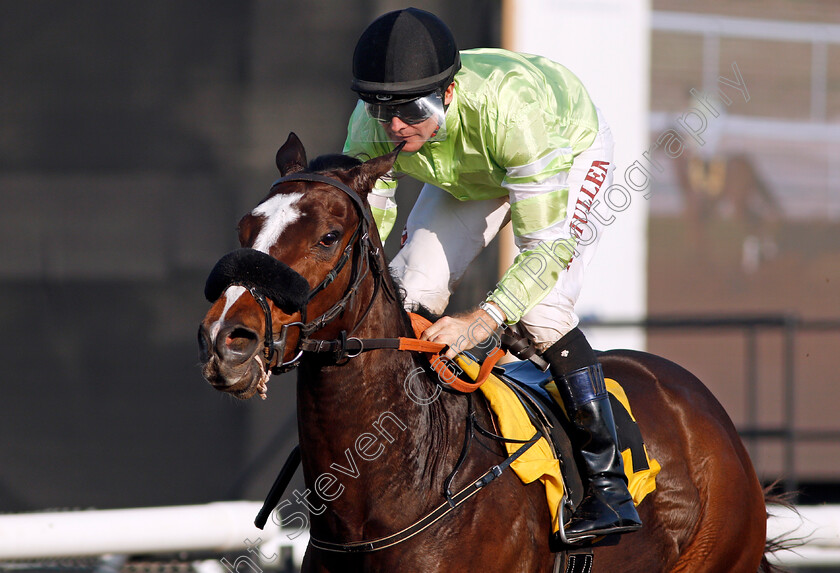 Galesburg-0005 
 GALESBURG (Richard Mullen) wins The Emirates A380 Handicap Jebel Ali, Dubai 9 Feb 2018 - Pic Steven Cargill / Racingfotos.com