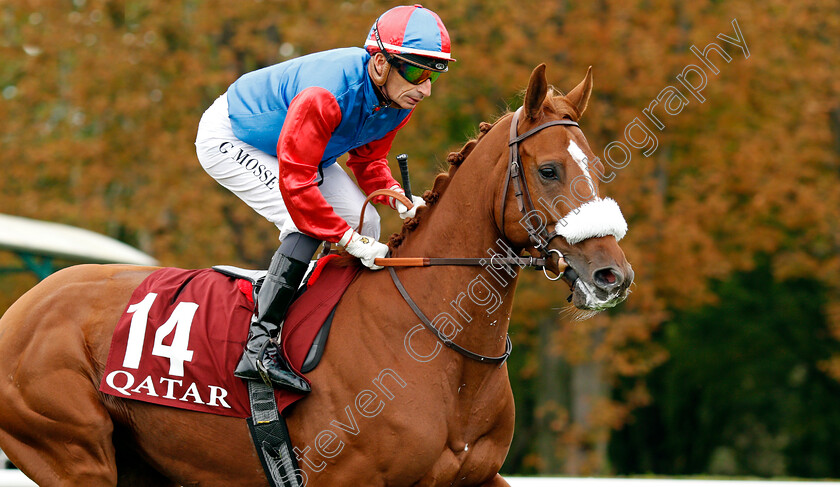 Bubble-Gift 
 BUBBLE GIFT (Gerald Mosse)
Longchamp 3 Oct 2021 - Pic Steven Cargill / Racingfotos.com