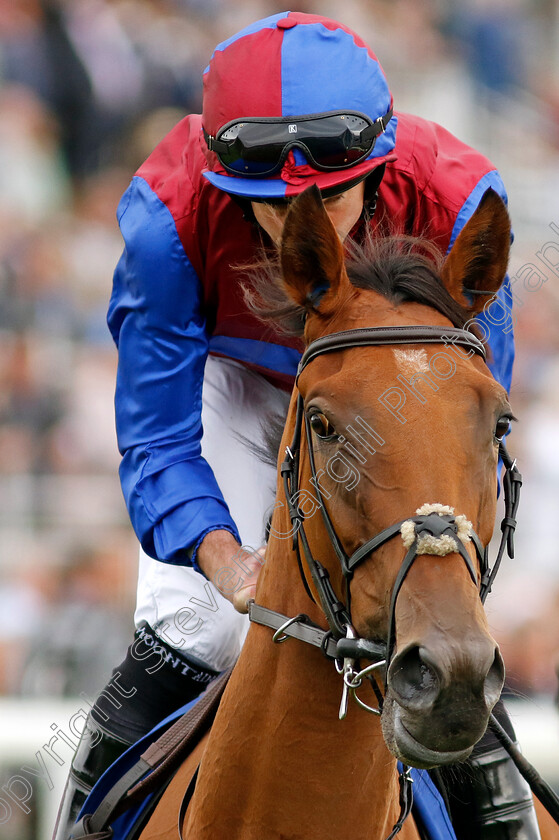 Content-0008 
 CONTENT (Ryan Moore) winner The Pertemps Network Yorkshire Oaks
York 22 Aug 2024 - Pic Steven Cargill / Racingfotos.com