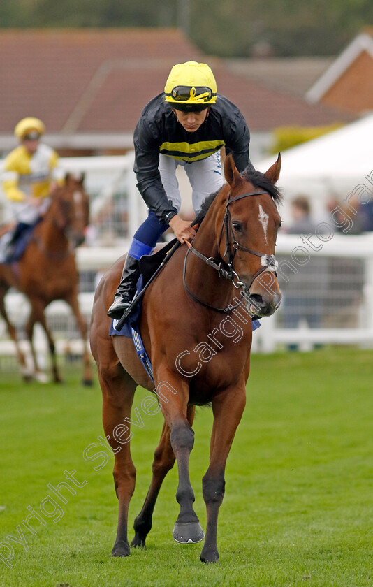 Shazam-0001 
 SHAZAM (Benoit de la Sayette)
Yarmouth 20 Sep 2023 - Pic Steven Cargill / Racingfotos.com