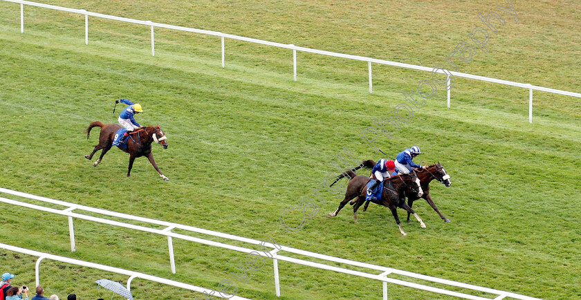 Saleemah-0001 
 SALEEMAH (nearside, Sam Hitchcott) beats HALIB DES FORGES (farside) in The Rotana Hotels And Resorts Premier Handicap
Newbury 29 Jul 2018 - Pic Steven Cargill / Racingfotos.com