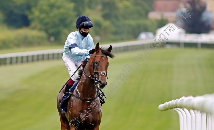 The-Orgasniser-0001 
 THE ORGANISER (Oisin Murphy)
Newmarket 8 Jul 2021 - Pic Steven Cargill / Racingfotos.com