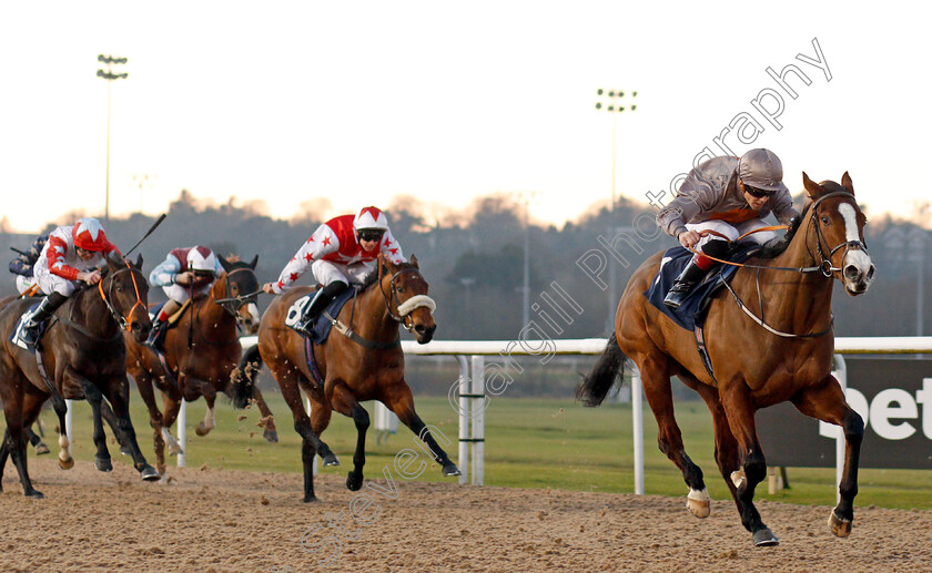 Eglish-0003 
 EGLISH (Ben Curtis) wins The Ladbrokes Football Acca Boosty Handicap
Wolverhampton 20 Jan 2020 - Pic Steven Cargill / Racingfotos.com