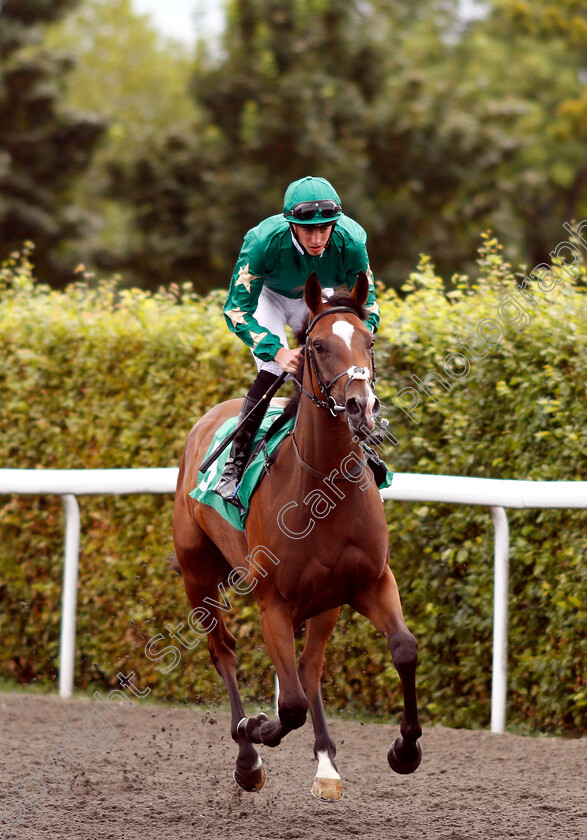 I-Am-Magical-0001 
 I AM MAGICAL (James Doyle)
Kempton 15 Aug 2018 - Pic Steven Cargill / Racingfotos.com