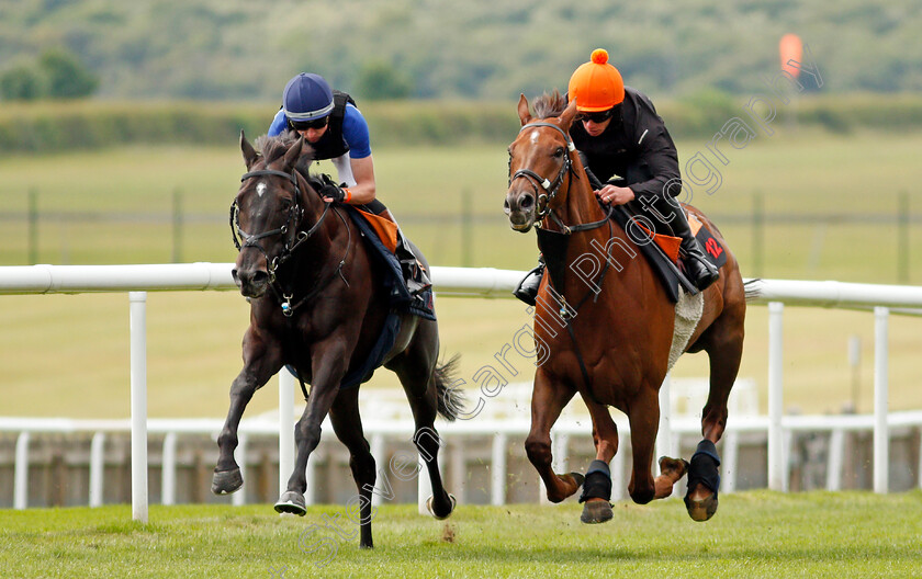 Addeybb-0002 
 ADDEYBB (right, Jason Favell) gallops with IRISH ADMIRAL (left, Adam Farragher) in preparation for next week's Eclipse Stakes
Newmarket 25 Jun 2021 - Pic Steven Cargill / Racingfotos.com