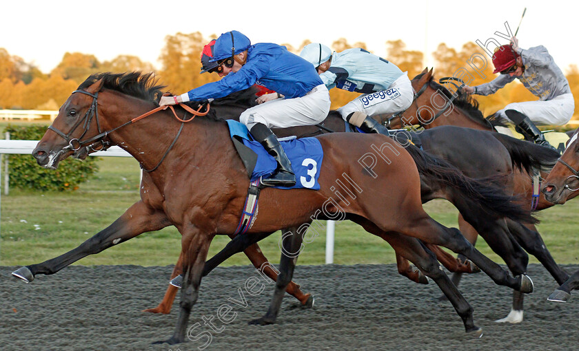 First-View-0008 
 FIRST VIEW (Hector Crouch) wins The 32Red Casino EBF Novice Stakes
Kempton 2 Oct 2019 - Pic Steven Cargill / Racingfotos.com