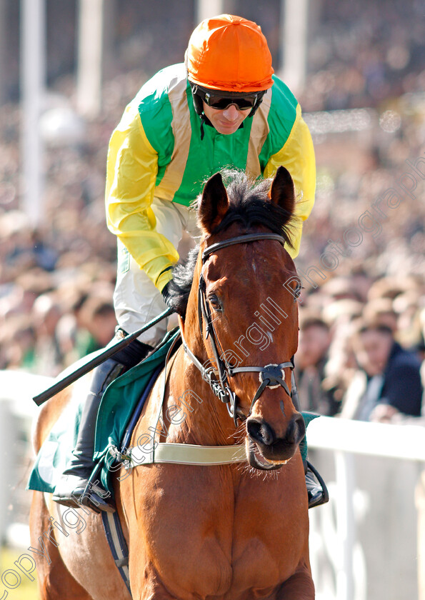 Midnight-Shadow-0001 
 MIDNIGHT SHADOW (Danny Cook)
Cheltenham 12 Mar 2020 - Pic Steven Cargill / Racingfotos.com