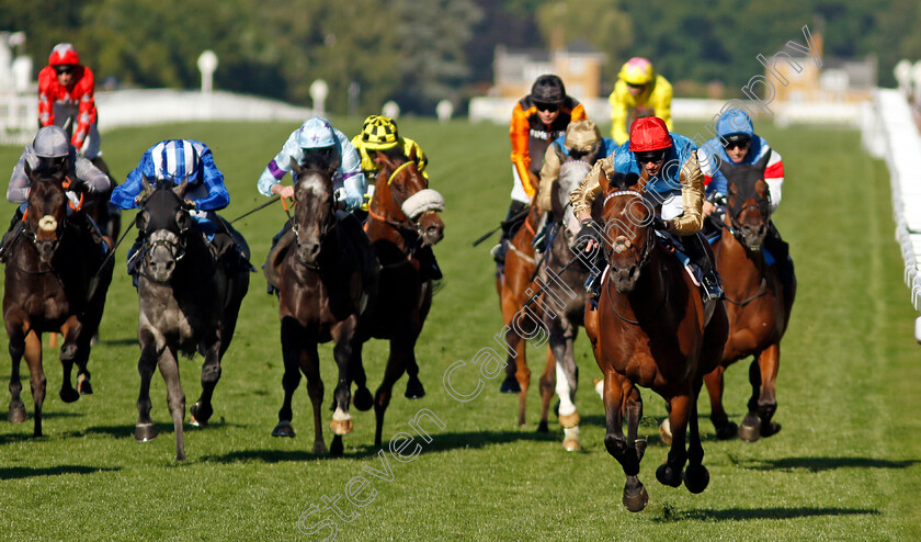 English-Oak-0004 
 ENGLISH OAK (James Doyle) wins The Buckingham Palace Stakes
Royal Ascot 20 Jun 2024 - Pic Steven Cargill / Racingfotos.com