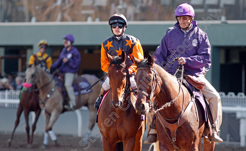 Dr-Simpson-0001 
 DR SIMPSON (Richard Kingscote)
Santa Anita 1 Nov 2019 - Pic Steven Cargill / Racingfotos.com