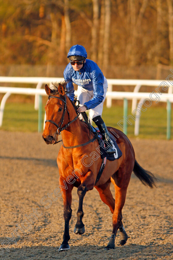 Finespun-0002 
 FINESPUN (Robert Havlin)
Lingfield 4 Jan 2020 - Pic Steven Cargill / Racingfotos.com