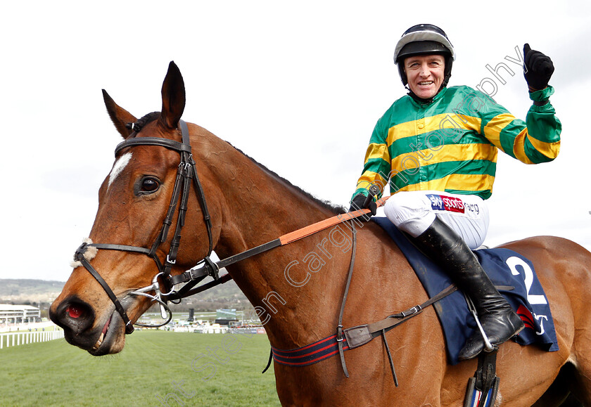 Defi-Du-Seuil-0002 
 DEFI DU SEUIL (Barry Geraghty) after The JLT Novices Chase
Cheltenham 14 Mar 2019 - Pic Steven Cargill / Racingfotos.com