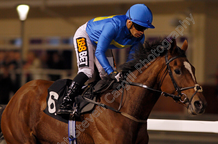 Spinning-Melody-0008 
 SPINNING MELODY (Silvestre De Sousa) wins The Bet totetrifecta At betfred.com Maiden Stakes Chelmsford 12 Oct 2017 - Pic Steven Cargill / Racingfotos.com