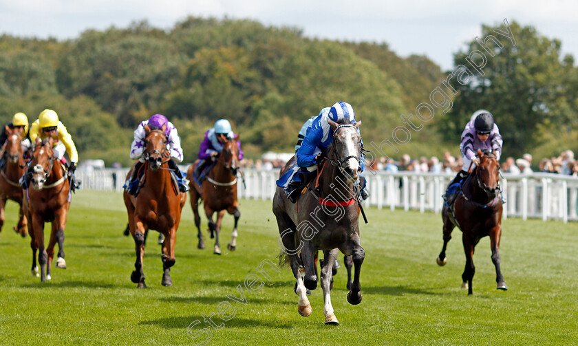 Ribhi-0005 
 RIBHI (Jim Crowley) wins The Byerley Stud British EBF Novice Stakes Div2
Salisbury 11 Aug 2021 - Pic Steven Cargill / Racingfotos.com