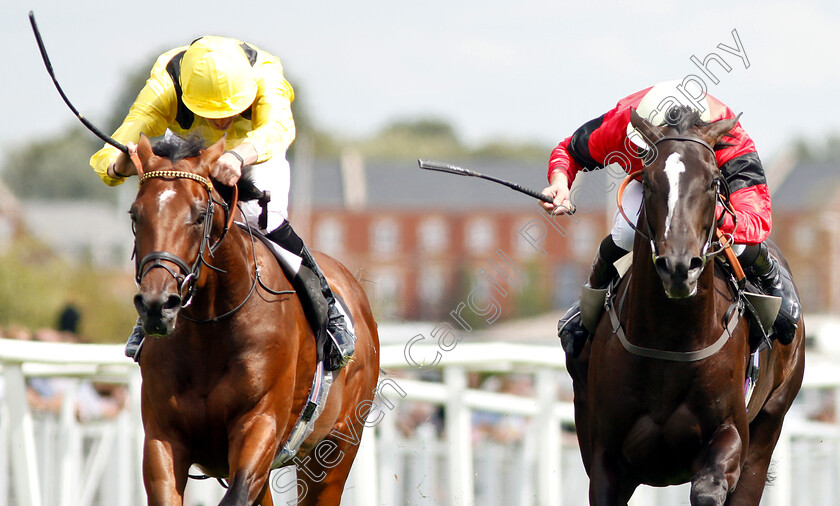 Boerhan-and-Sheila s-Showcase-0005 
 BOERHAN (left, James Doyle) dead-heats with SHEILA'S SHOWCASE (right, Charles Bishop) in The Don Deadman Memorial EBF Maiden Stakes Div2
Newbury 17 Aug 2018 - Pic Steven Cargill / Racingfotos.com