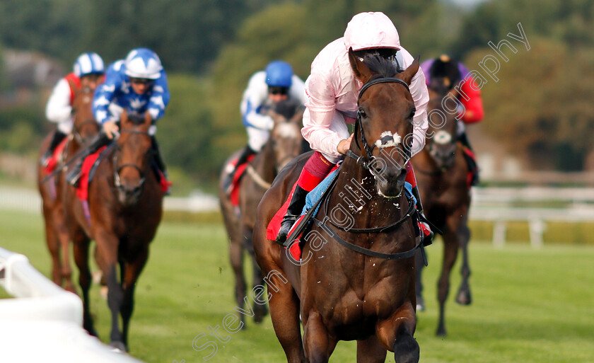 Too-Darn-Hot-0003s 
 TOO DARN HOT (Frankie Dettori) wins The Slug And Lettuce 2-4-1 Tanqueray Thursdays EBF Maiden Stakes
Sandown 9 Aug 2018 - Pic Steven Cargill / Racingfotos.com