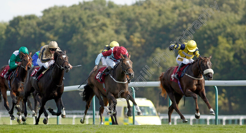 Oscar s-Sister-0002 
 OSCAR'S SISTER (right, Graham Lee) beats CLARETINA (centre) in The Development Funding Nursery
Haydock 1 Sep 2022 - Pic Steven Cargill / Racingfotos.com