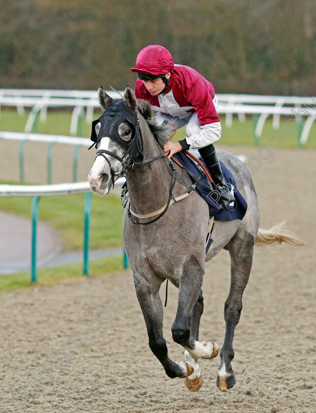 Polar-Cloud-0002 
 POLAR CLOUD (Luke Morris)
Lingfield 11 Dec 2019 - Pic Steven Cargill / Racingfotos.com