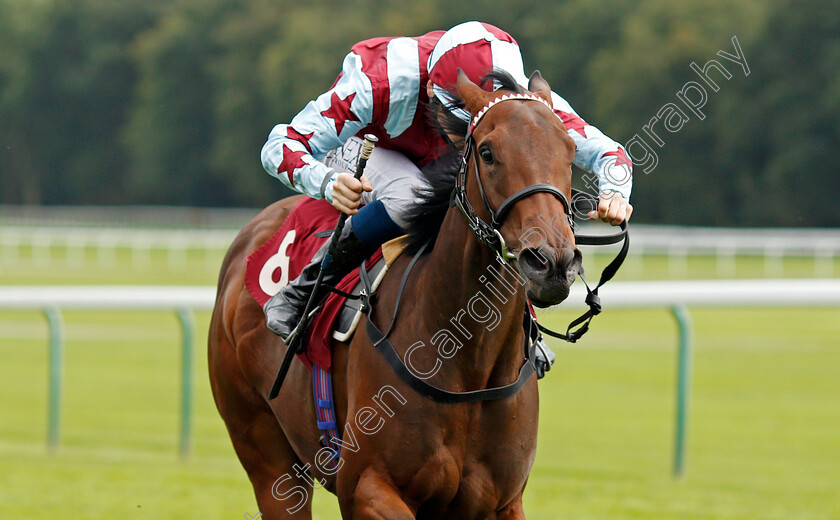 Series-Of-Dreams-0004 
 SERIES OF DREAMS (Callum Shepherd) wins The Betfair Racing Only Bettor EBF Fillies Novice Stakes
Haydock 4 Sep 2020 - Pic Steven Cargill / Racingfotos.com