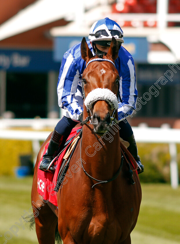 Foxes-Tales-0001 
 FOXES TALES (Silvestre De Sousa)
Chester 6 May 2021 - Pic Steven Cargill / Racingfotos.com