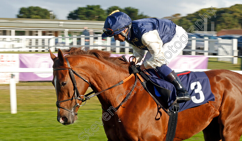 Azure-Angel-0001 
 AZURE ANGEL (Silvestre de Sousa)
Yarmouth 17 Sep 2024 - Pic Steven Cargill / Racingfotos.com