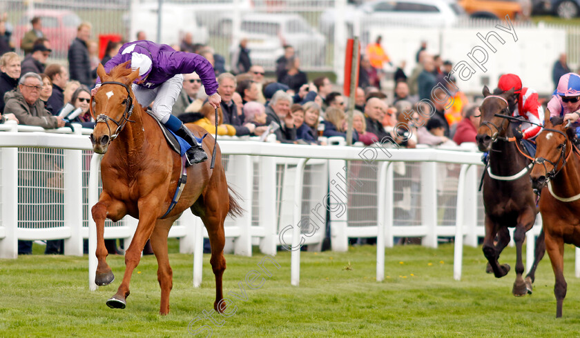 Sir-Rumi-0004 
 SIR RUMI (William Buick) wins The Betfred Nifty Fifty Great Metropolitan Handicap
Epsom 25 Apr 2023 - Pic Steven Cargill / Racingfotos.com