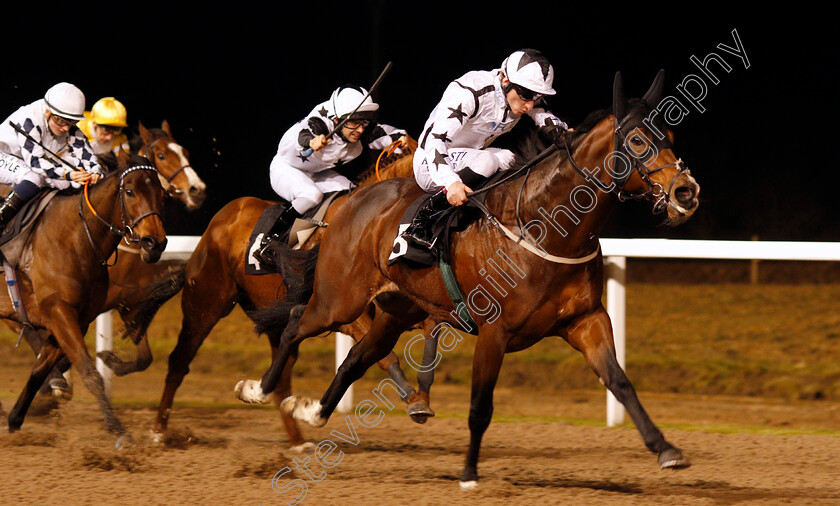 Aleef-0004 
 ALEEF (Adam Kirby) wins The Bet totetrifecta At betfred.com Handicap Chelmsford 21 Dec 2017 - Pic Steven Cargill / Racingfotos.com