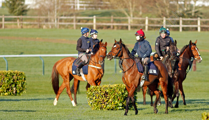 Tiger-Roll-0001 
 TIGER ROLL exercising on the eve of the Cheltenham Festival
Cheltenham 14 Mar 2022 - Pic Steven Cargill / Racingfotos.com