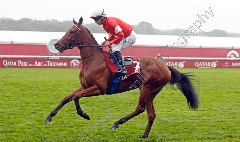 Lhakpa-0001 
 LHAKPA (Maxime Guyon)
Longchamp 6 Oct 2024 - Pic Steven Cargill / Racingfotos.com