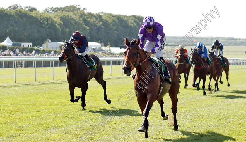 Ouzo-0002 
 OUZO (Sean Levey) wins The Trm Kurasyn Art Of Movement Handicap
Newmarket 27 Jun 2019 - Pic Steven Cargill / Racingfotos.com