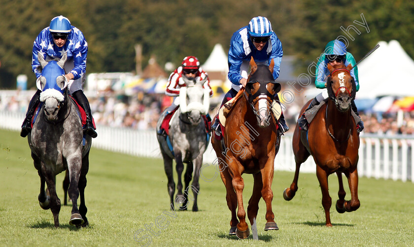 Muraaqib-0003 
 MURAAQIB (Jim Crowley) wins The Qatar International Stakes
Goodwood 1 Aug 2018 - Pic Steven Cargill / Racingfotos.com