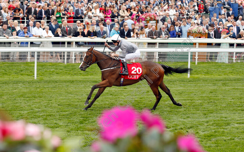 Red-Balloons-0006 
 RED BALLOONS (Barry McHugh) wins The Goffs UK Premier Yearling Stakes
York 23 Aug 2018 - Pic Steven Cargill / Racingfotos.com