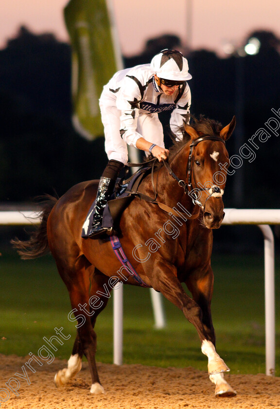 Thunderbolt-Rocks-0006 
 THUNDERBOLT ROCKS (James Doyle) wins The Hellermanntyton Identification Handicap
Wolverhampton 5 Sep 2018 - Pic Steven Cargill / Racingfotos.com