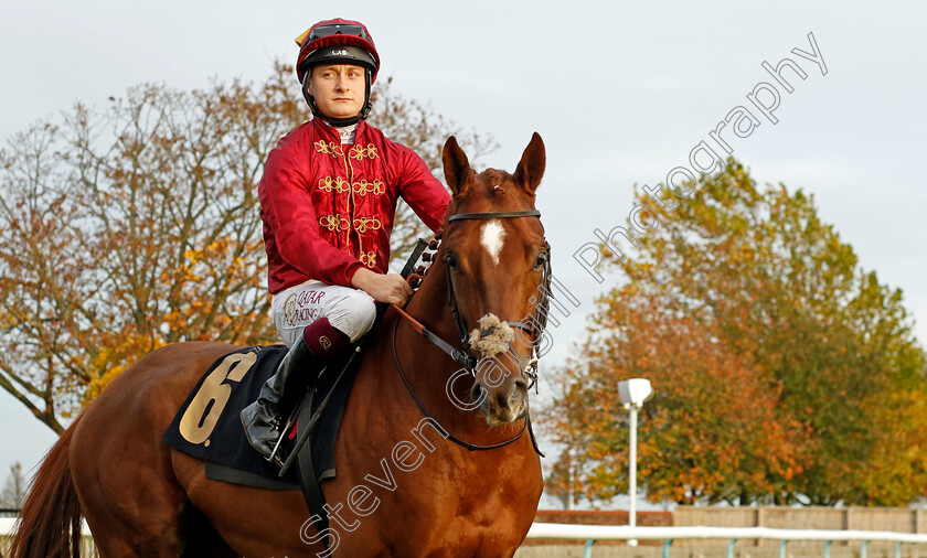 Nobel-0003 
 NOBEL (Cieren Fallon)
Newmarket 29 Oct 2022 - Pic Steven Cargill / Racingfotos.com