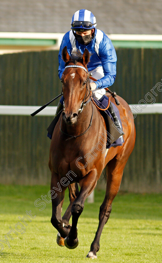 Mejthaam-0001 
 MEJTHAAM (Jim Crowley)
Yarmouth 14 Jul 2021 - Pic Steven Cargill / Racingfotos.com