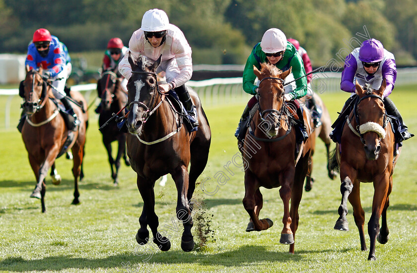 Whitehaven-0004 
 WHITEHAVEN (left, P J McDonald) beats UP THE AISLE (centre) and PRINCESS SIYOUNI (right) in The Betway Casino Classified Stakes
Lingfield 26 Aug 2020 - Pic Steven Cargill / Racingfotos.com