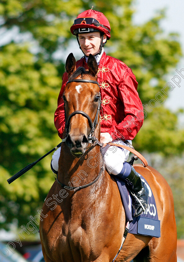 Worship-0002 
 WORSHIP (Oisin Murphy) Newmarket 6 May 2018 - Pic Steven Cargill / Racingfotos.com