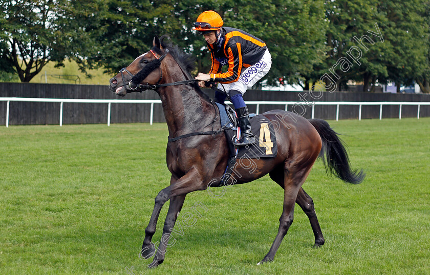 Zagato-0001 
 ZAGATO (David Probert)
Newmarket 7 Aug 2021 - Pic Steven Cargill / Racingfotos.com