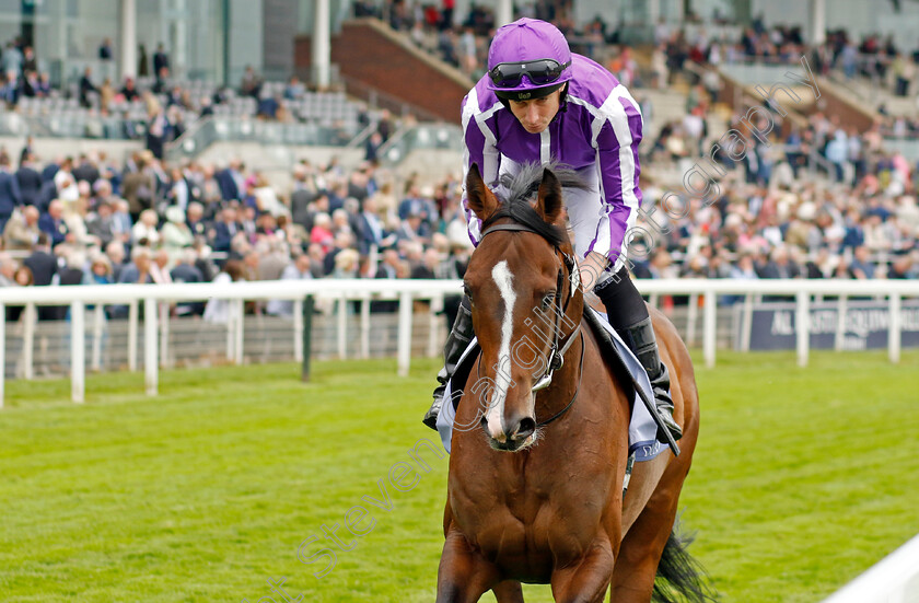 Continuous-0001 
 CONTINUOUS (Ryan Moore)
York 18 May 2023 - Pic Steven Cargill / Racingfotos.com