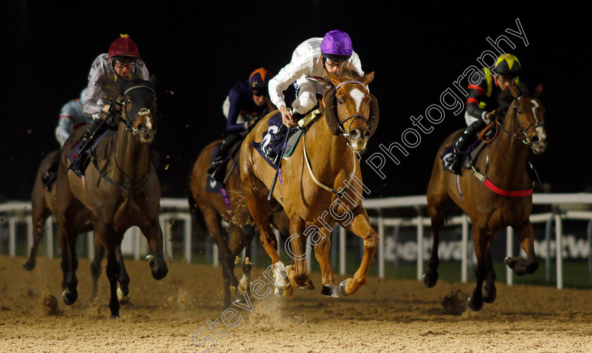 Stone-Soldier-0002 
 STONE SOLDIER (Luke Morris) wins The Mansionbet Proud Partners of The AWC Conditions Stakes
Southwell 3 Mar 2022 - Pic Steven Cargill / Racingfotos.com