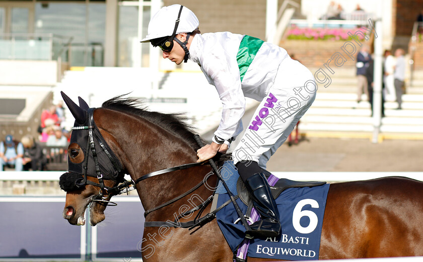 Spiritual-0001 
 SPIRITUAL (Kieran Shoemark)
Newmarket 29 Sep 2023 - Pic Steven Cargill / Racingfotos.com